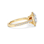 https://cdn.shopify.com/s/files/1/0706/7707/0101/files/SR60-200Y-020.jpg?v=1772642967