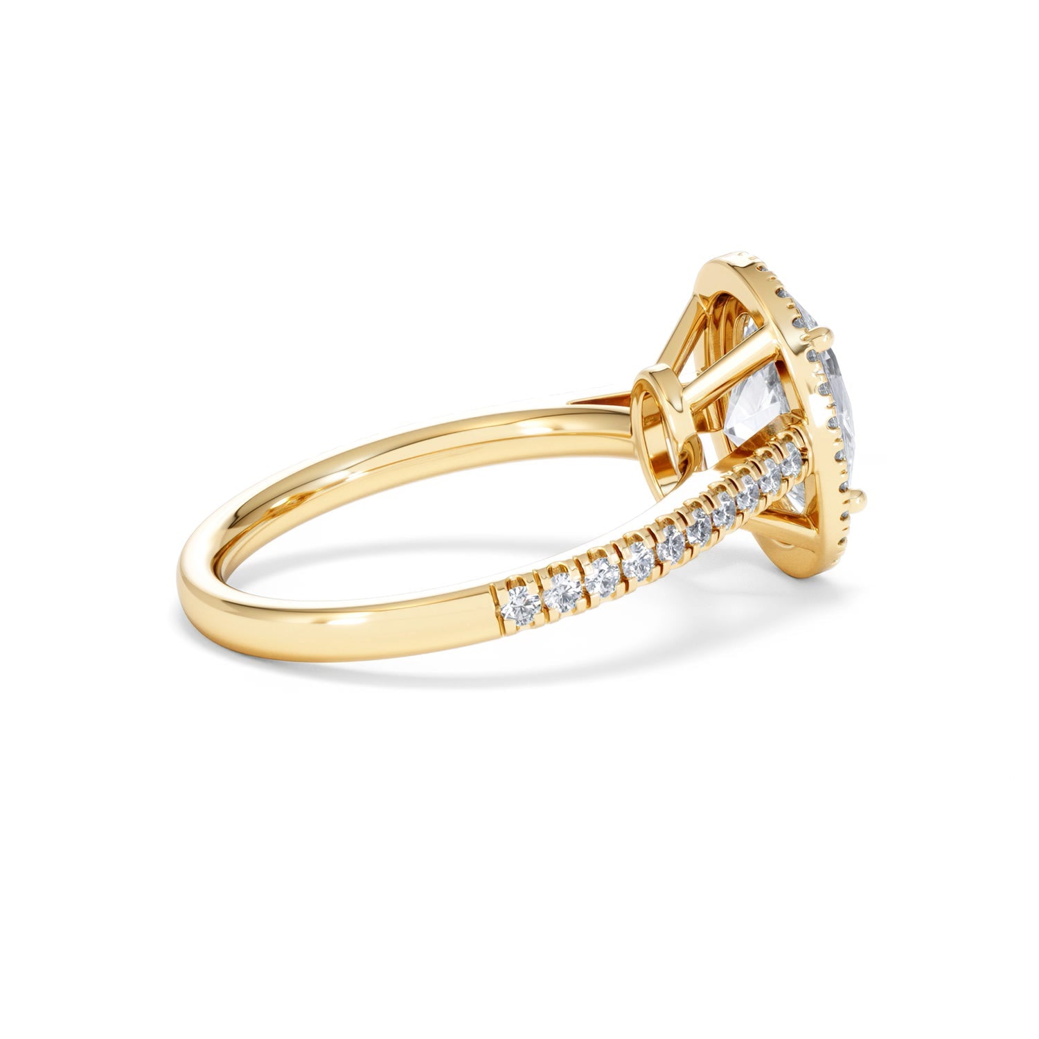 https://cdn.shopify.com/s/files/1/0706/7707/0101/files/SR60-200Y-026.jpg?v=1772642967