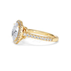 https://cdn.shopify.com/s/files/1/0706/7707/0101/files/SR60-200Y-066.jpg?v=1772642967