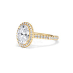https://cdn.shopify.com/s/files/1/0706/7707/0101/files/SR60-200Y-073.jpg?v=1772642967