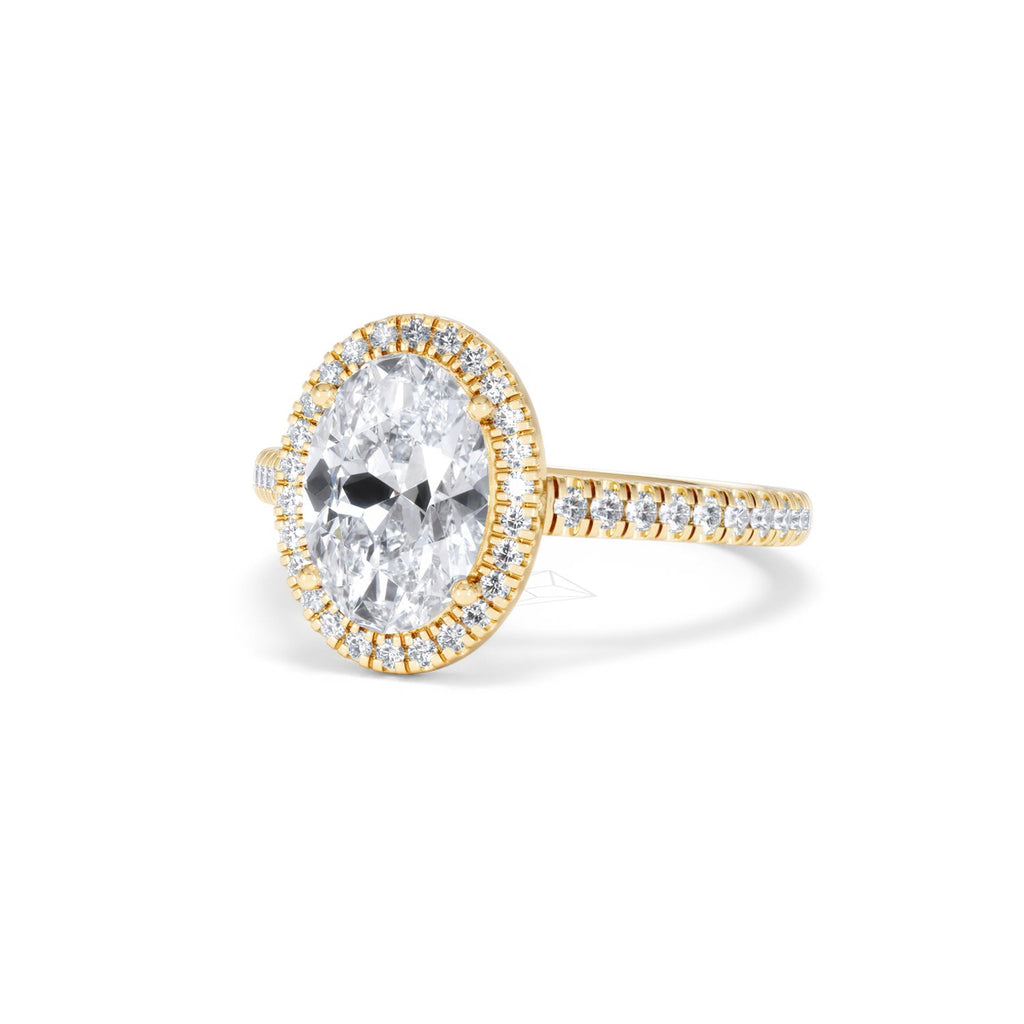 https://cdn.shopify.com/s/files/1/0706/7707/0101/files/SR60-200Y-076.jpg?v=1772642967