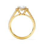 https://cdn.shopify.com/s/files/1/0706/7707/0101/files/SR60-200Y-d1.jpg?v=1772642967
