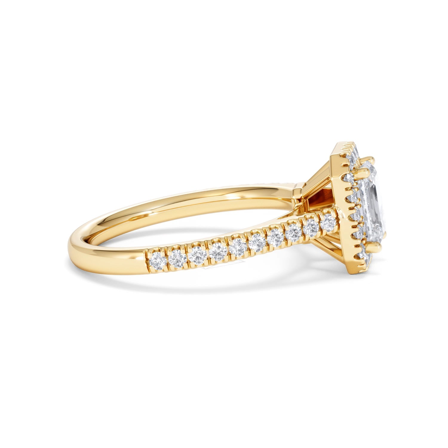 https://cdn.shopify.com/s/files/1/0706/7707/0101/files/SR62-100Y-019.jpg?v=1746654044