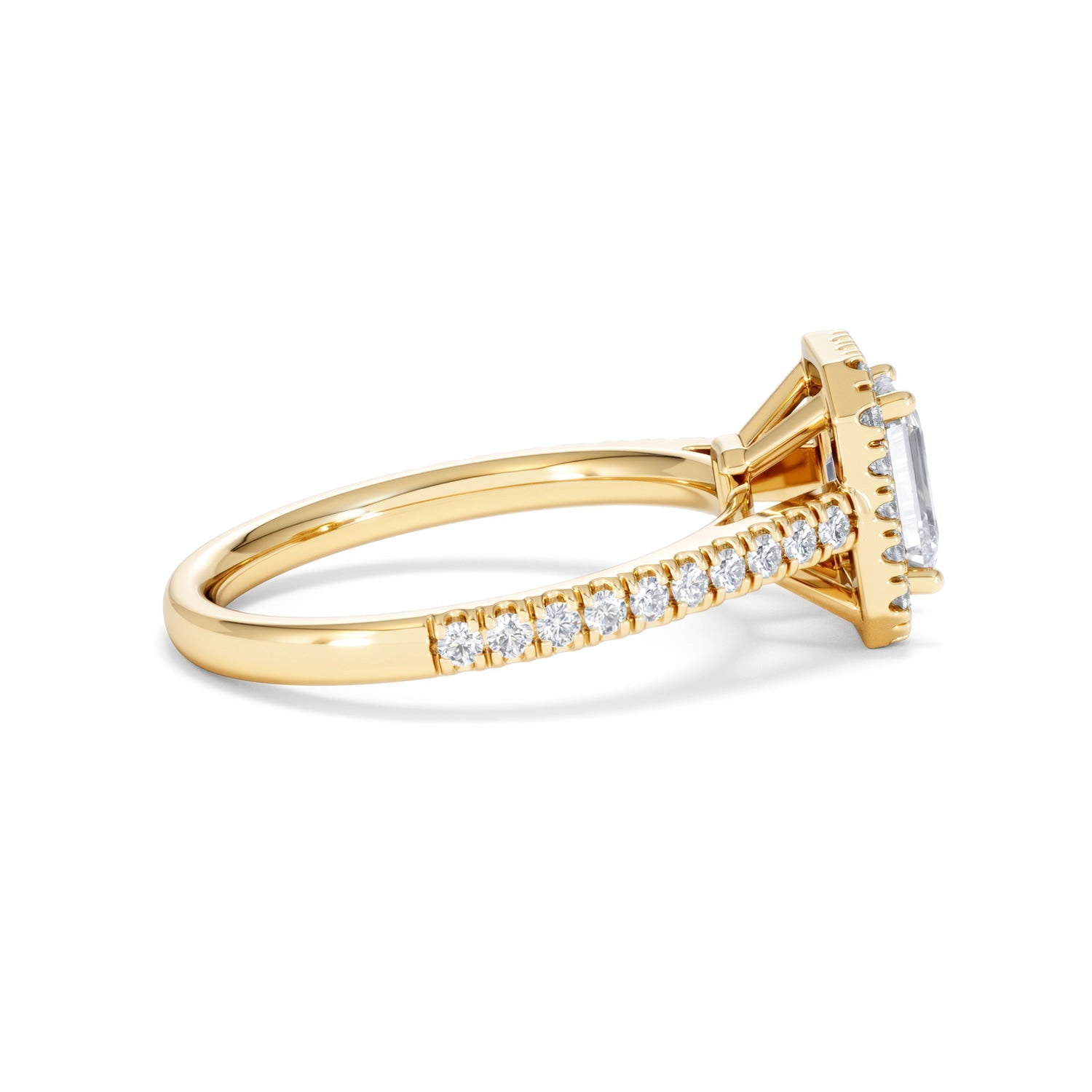 https://cdn.shopify.com/s/files/1/0706/7707/0101/files/SR62-100Y-022.jpg?v=1746654044