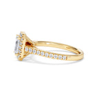 https://cdn.shopify.com/s/files/1/0706/7707/0101/files/SR62-100Y-063.jpg?v=1746654044