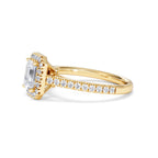 https://cdn.shopify.com/s/files/1/0706/7707/0101/files/SR62-100Y-066.jpg?v=1746654044