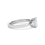 https://cdn.shopify.com/s/files/1/0706/7707/0101/files/SR65-100W-018_89889f07-f771-4da1-897a-6081edbda3e6.jpg?v=1746656905