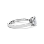 https://cdn.shopify.com/s/files/1/0706/7707/0101/files/SR65-100W-022_55cfc0d2-e5c7-4385-b7b1-726a3ddb18f6.jpg?v=1746656905