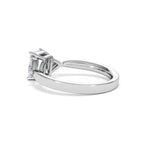 https://cdn.shopify.com/s/files/1/0706/7707/0101/files/SR65-100W-054_5d36a0ce-0e2d-46ca-838f-704798c59877.jpg?v=1746656905